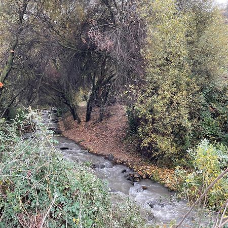 Apartamento Junto Al Rio En Entrada Ruta Cahorros Monachil Dış mekan fotoğraf